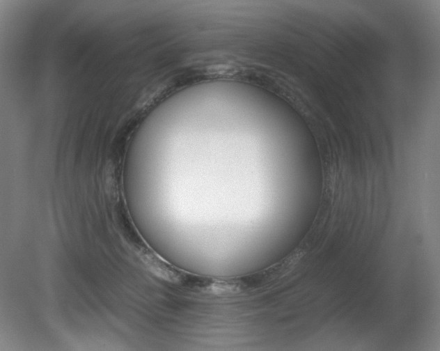 X0000080780270200612151039