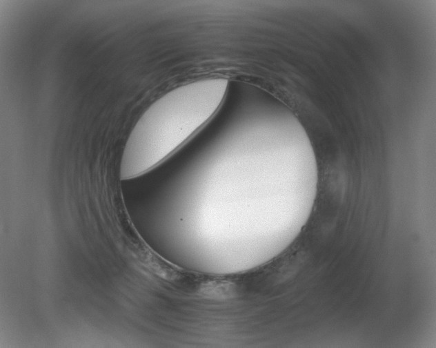 X0000080780271200612151039