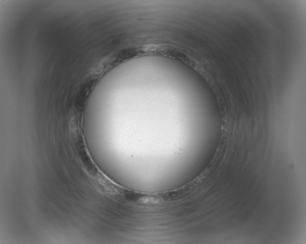 X0000080780272200612151039