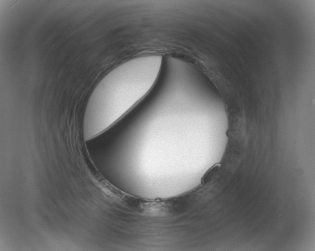 X0000080780273200612151039