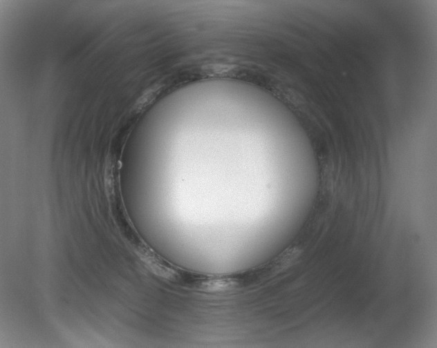 X0000080780274200612151039