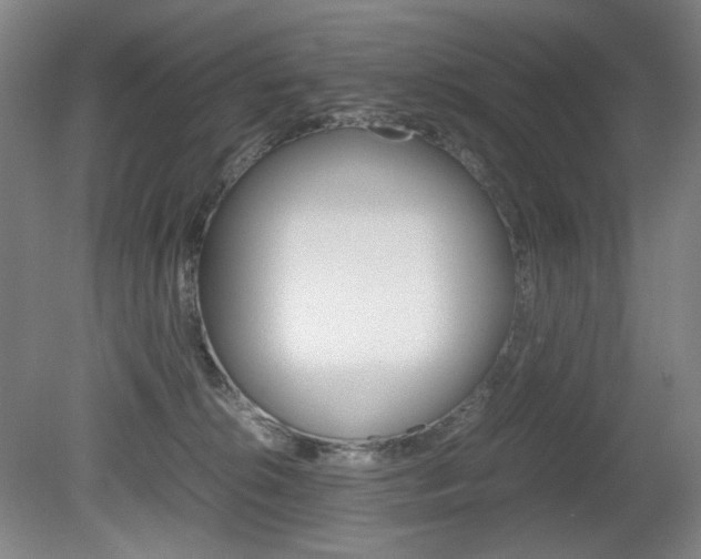 X0000080780276200612151040