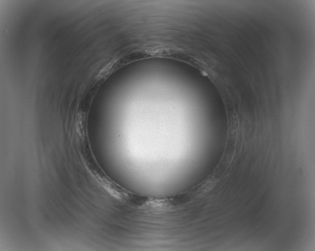 X0000080780280200612151040