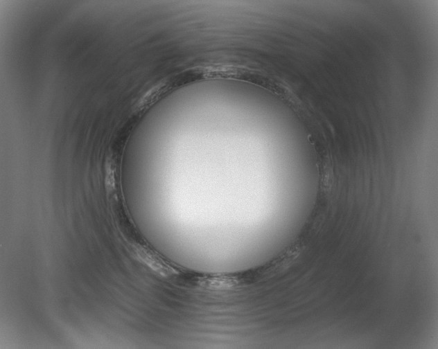 X0000080780282200612151040