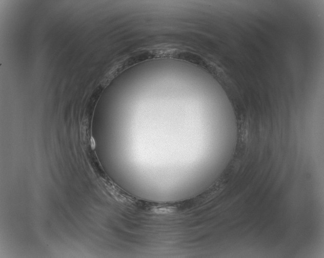 X0000080780283200612151040