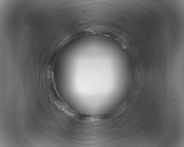 X0000080780284200612151040