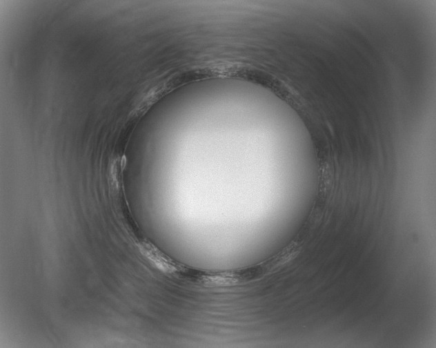 X0000080780286200612151040