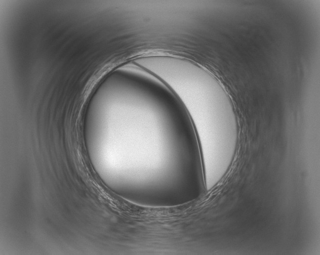 X0000080780289200612151039