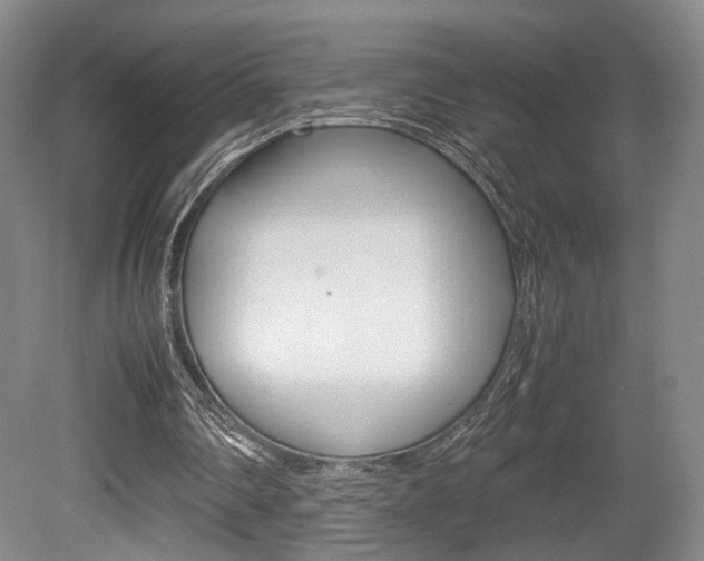 X0000080780290200612151039