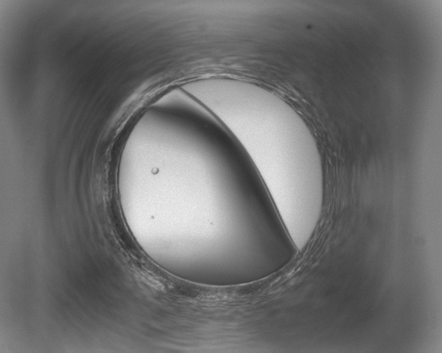 X0000080780291200612151039