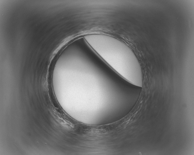 X0000080780292200612151039