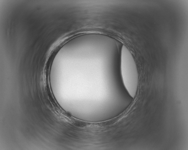 X0000080780294200612151039