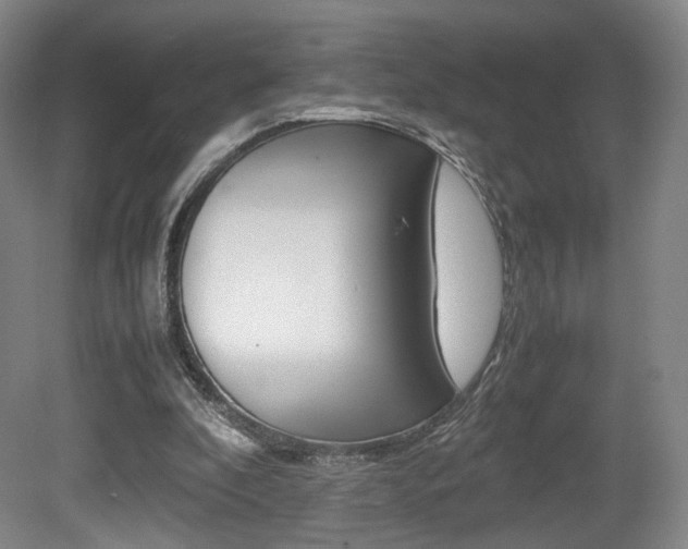 X0000080780296200612151039