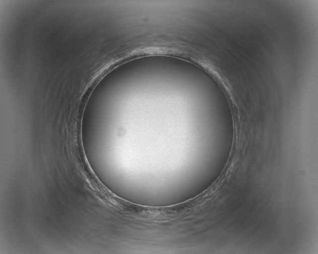 X0000080780297200612151039
