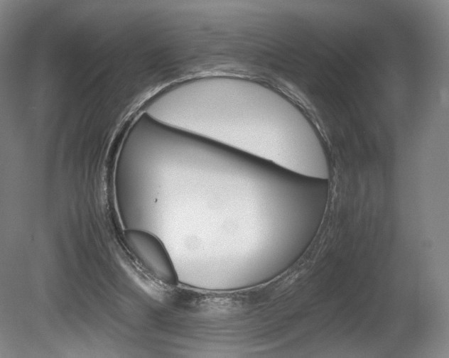 X0000080780298200612151039