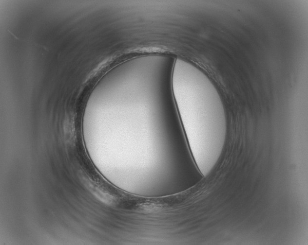 X0000080780300200612151039