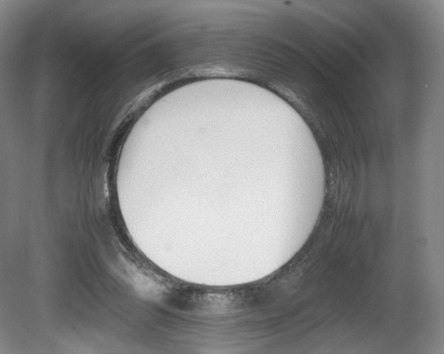 X0000080780302200612151039
