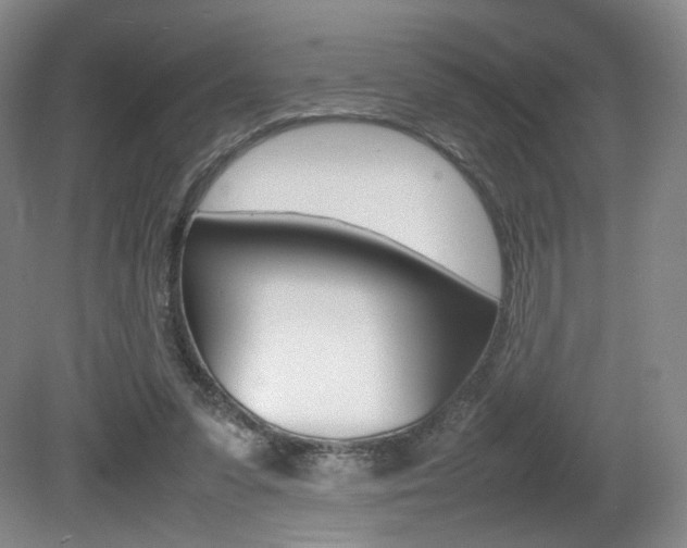 X0000080780303200612151039