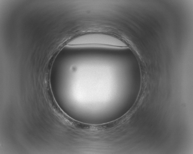X0000080780305200612151039