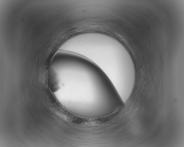 X0000080780307200612151039