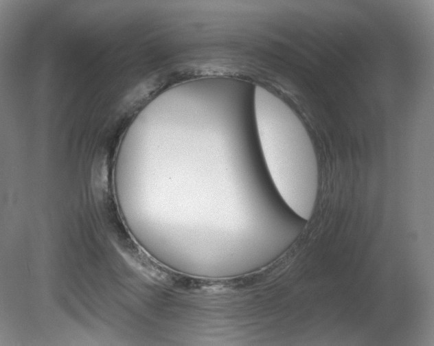 X0000080780310200612151039