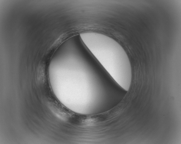 X0000080780312200612151039