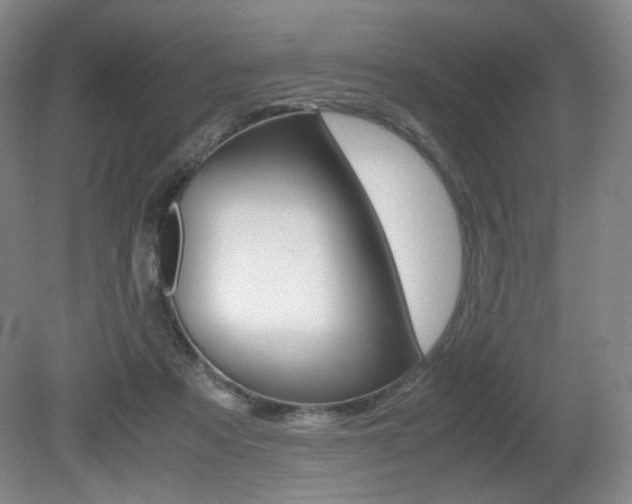X0000080780313200612151038