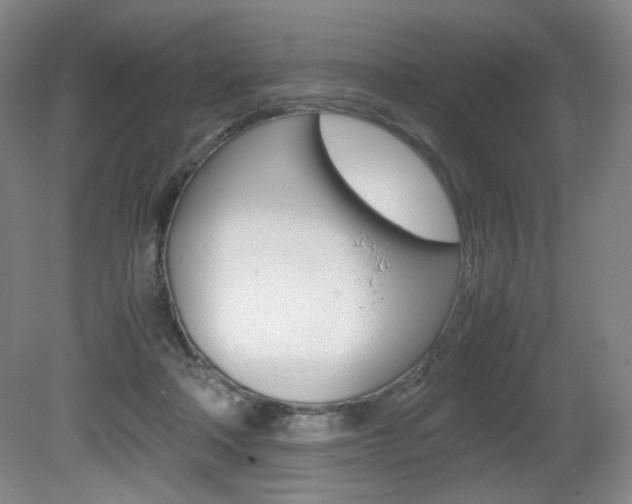 X0000080780314200612151038