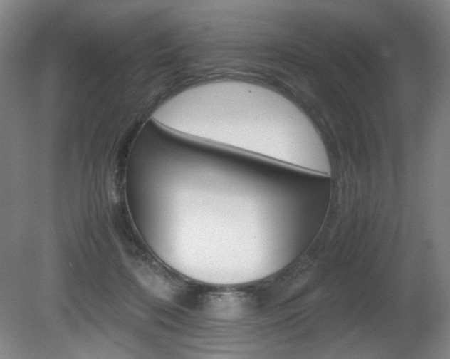 X0000080780316200612151038