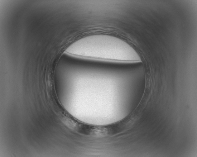 X0000080780317200612151038