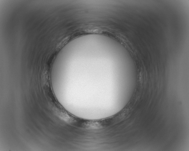 X0000080780322200612151038