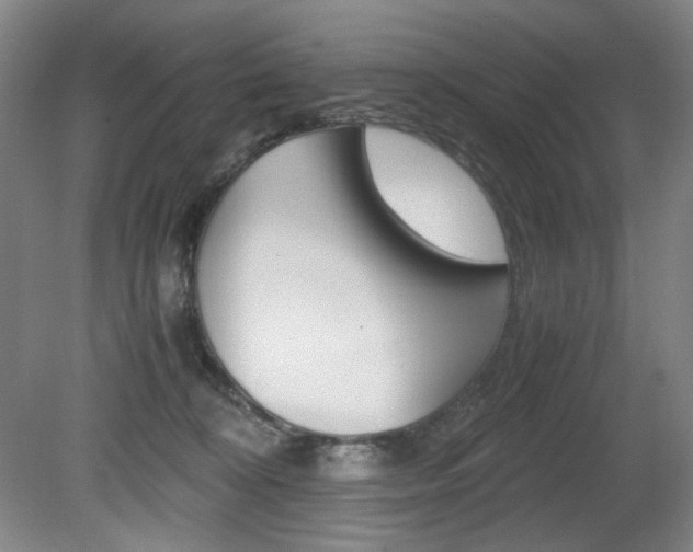 X0000080780324200612151038