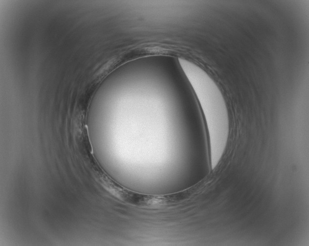 X0000080780325200612151038