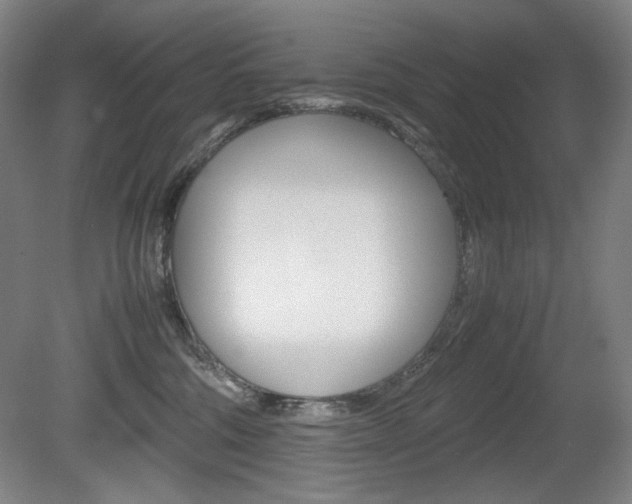 X0000080780330200612151038