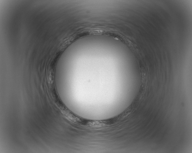 X0000080780331200612151038