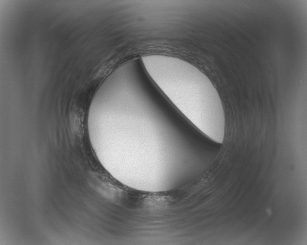 X0000080780332200612151038