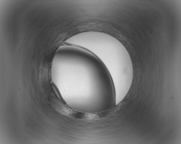X0000080780333200612151038
