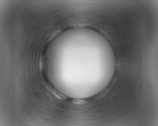 X0000080780334200612151038