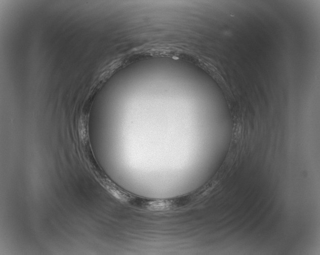 X0000080780335200612151038