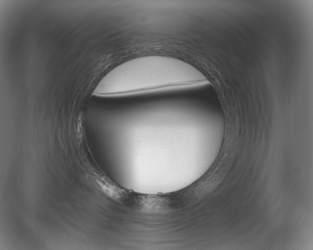 X0000080780336200612151038
