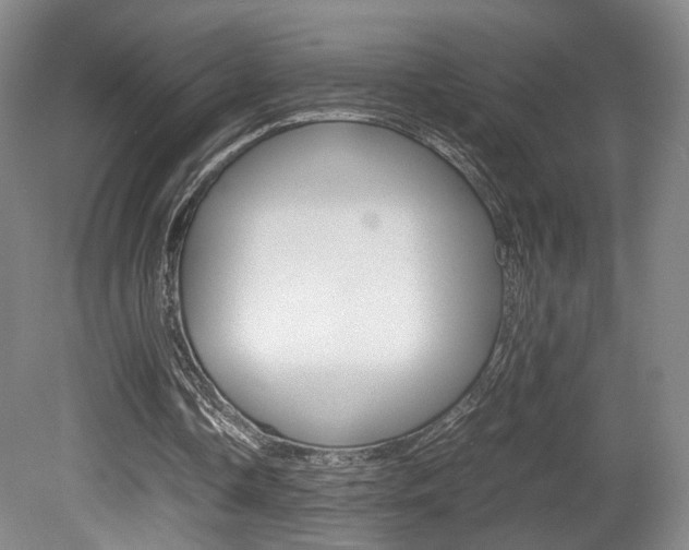 X0000080780338200612151037