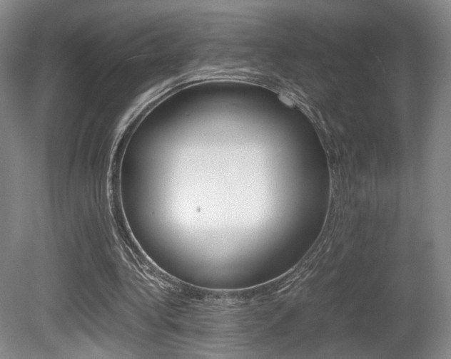 X0000080780340200612151037