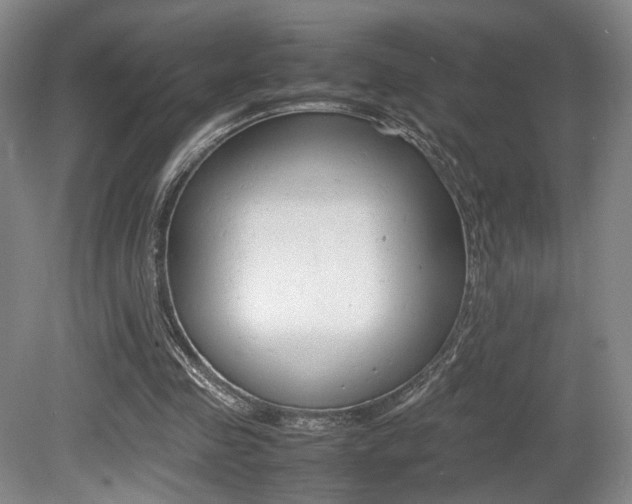 X0000080780341200612151037