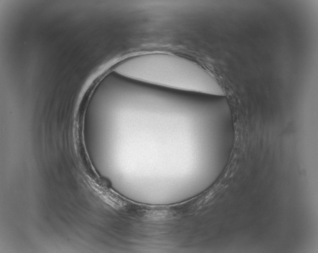 X0000080780342200612151037