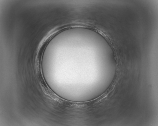 X0000080780343200612151037