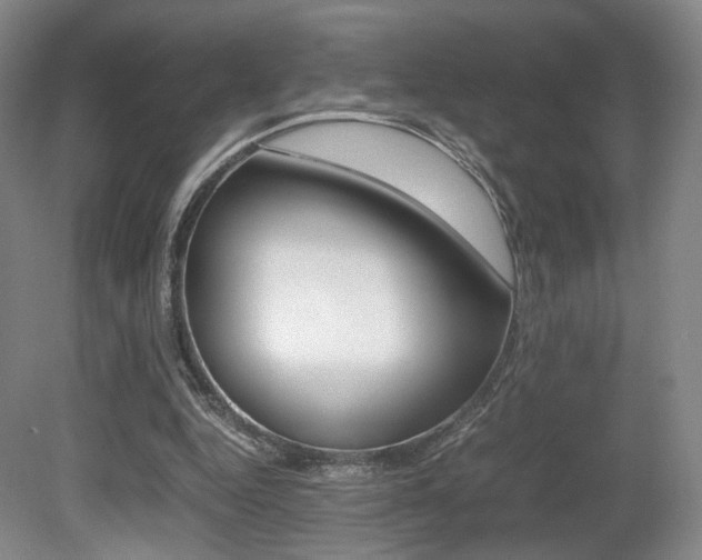 X0000080780344200612151037