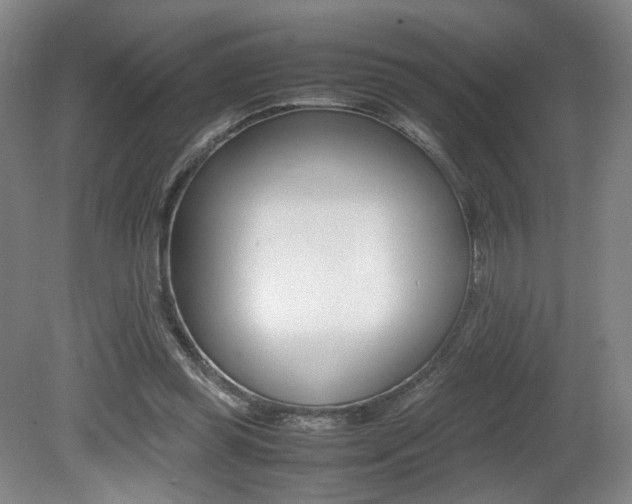 X0000080780349200612151038
