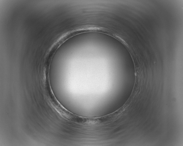 X0000080780350200612151038