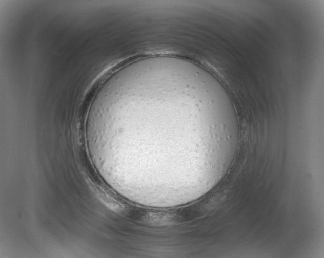 X0000080780351200612151038