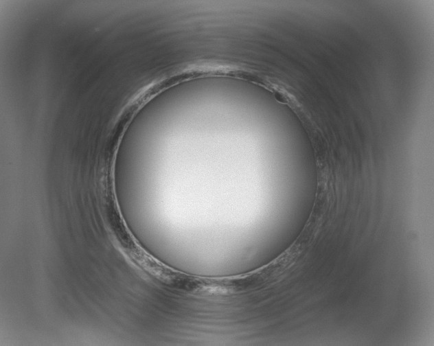 X0000080780352200612151038